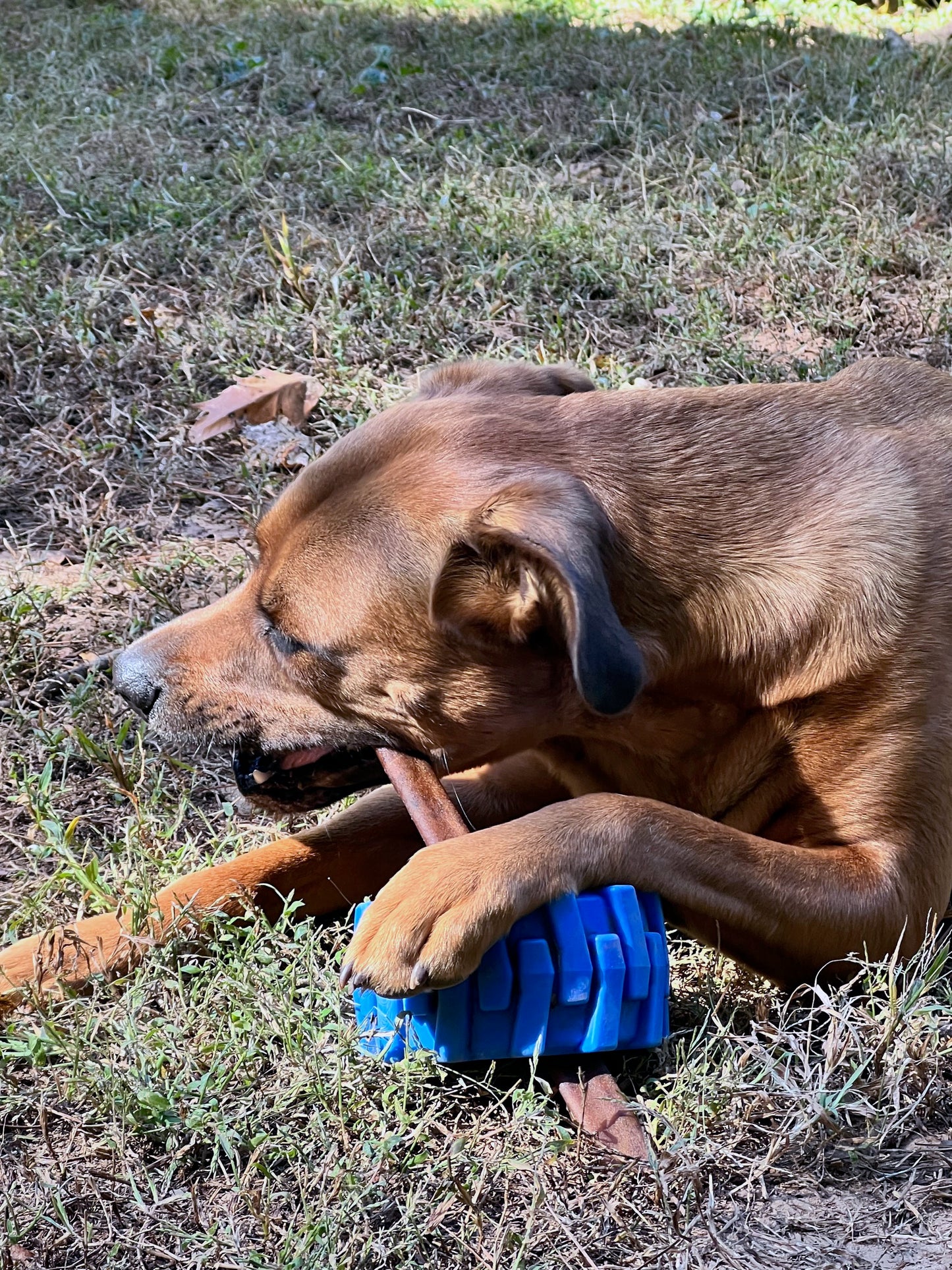 Beef Collagen Chew Sticks